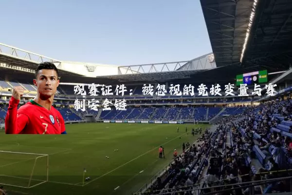 观赛证件：被忽视的竞技变量与赛制安全链