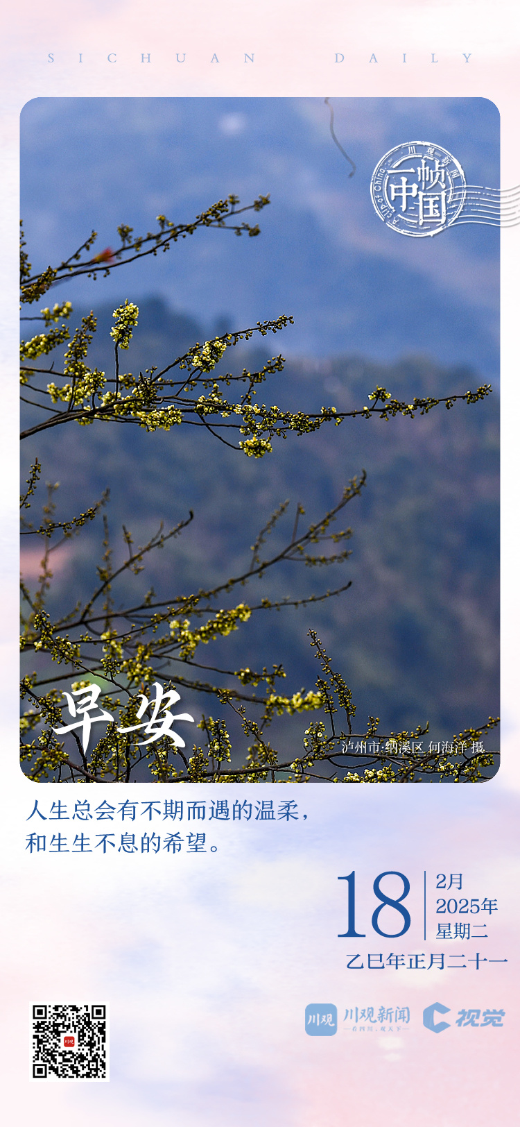 中超赛场的